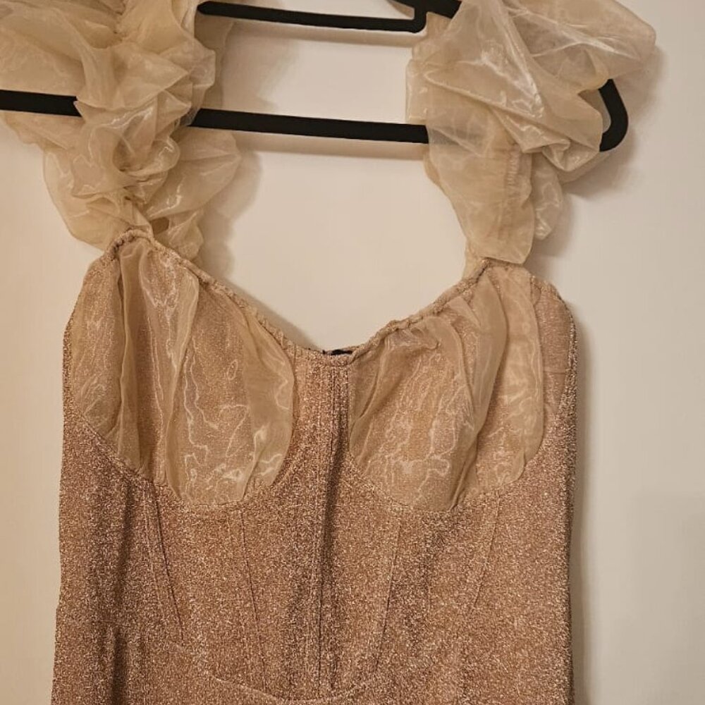 Champagne Bardot Organza Ruffle Detail Dress